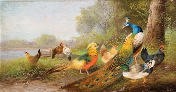 Huhnerhof Mit Pfau Und Enten Oil Painting by Max Josef Haenger Sr.