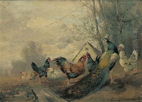 Huhnerschar Mit Hahn Und Pfau Oil Painting by Max Josef Haenger Sr.
