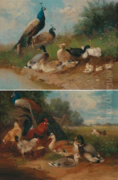 Zwei Geflugelbilder Mit Huhnern, Enten Und Pfauen (diptych) Oil Painting by Max Josef Haenger Sr.