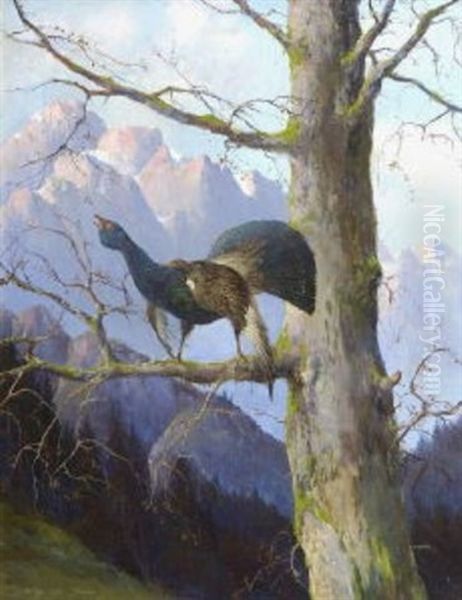 Balzender Auerhahn Oil Painting by Max Josef Haenger Sr.