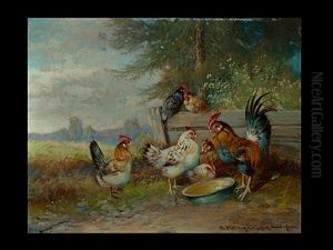 Huhner Vor Der Leeren Futterschussel