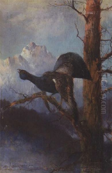 Balzender Auerhahn Oil Painting by Max Josef Haenger Sr.