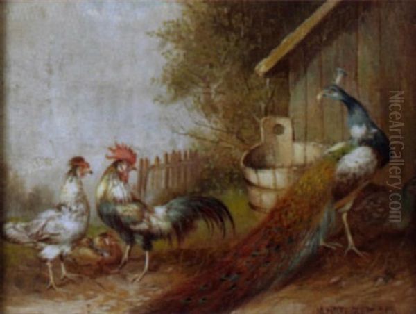 Federvieh Auf Dem Hof Oil Painting by Max Josef Haenger Sr.