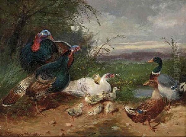 Ducks And Wildfowl By A Stream Oil Painting by Max Josef Haenger Sr.