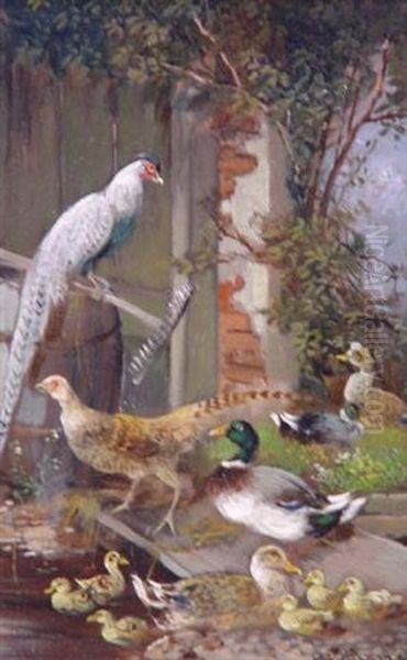 Rebhuhner Und Enten Mit Ihren Kuken Vor Einer Scheune Oil Painting by Max Josef Haenger Sr.