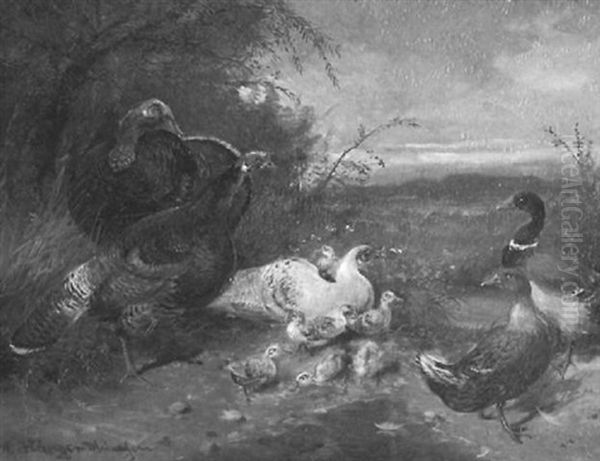 Enten Und Truthahne Am Teich Oil Painting by Max Josef Haenger Sr.