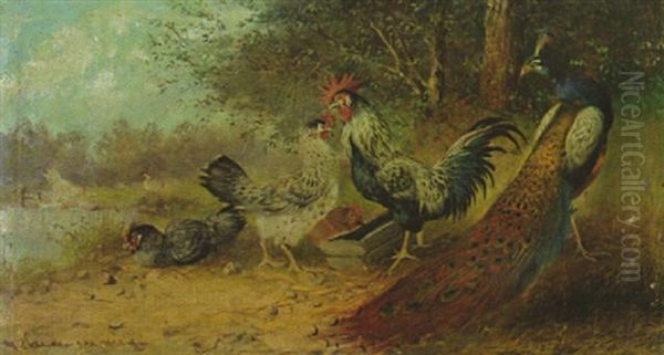 Pfau, Hahn Und Huhner Am Futtertrog Am Seeufer Oil Painting by Max Josef Haenger Sr.