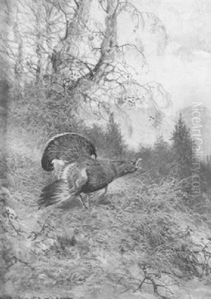 Auerhahn In Herbstlicher Berglandschaft Oil Painting by Max Josef Haenger Sr.