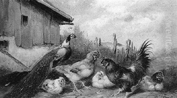 Huhnerhof Mit Pfau Oil Painting by Max Josef Haenger Sr.