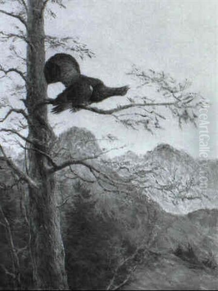 Balzender Auerhahn Auf Einem Baum In Gebirgslandschaft Oil Painting by Max Josef Haenger Sr.