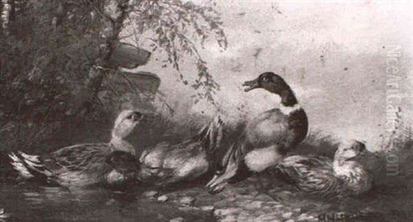 Enten Am Weiher Oil Painting by Max Josef Haenger Sr.
