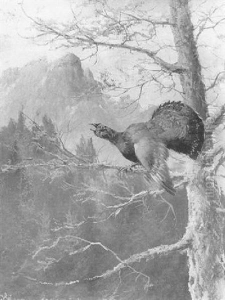 Balzender Auerhahn Oil Painting by Max Josef Haenger Sr.