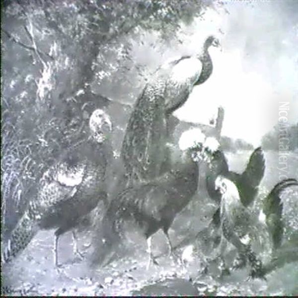 Pfau, Truthahn Und Huhner Vor Zaun Und Wiese Oil Painting by Max Josef Haenger Sr.