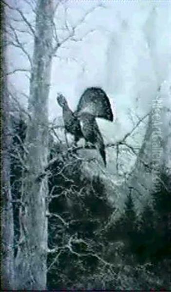 Balzender Birkhahn Oil Painting by Max Josef Haenger Sr.