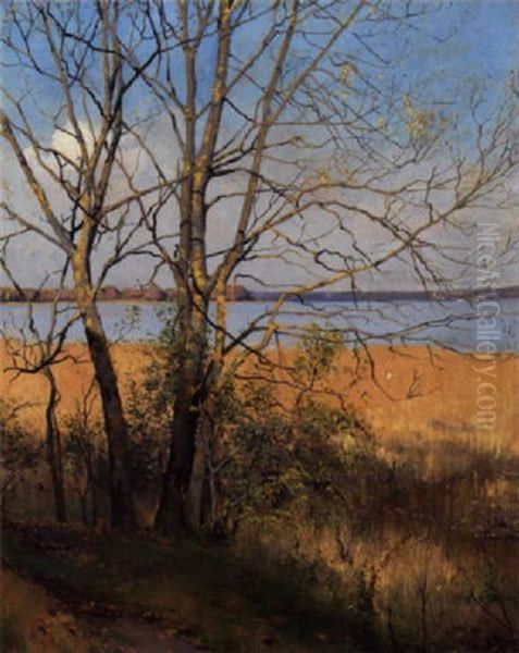 Nogne Traeer Ved Kysten I Klart Forarslys Oil Painting by Sigvard Marius Hansen