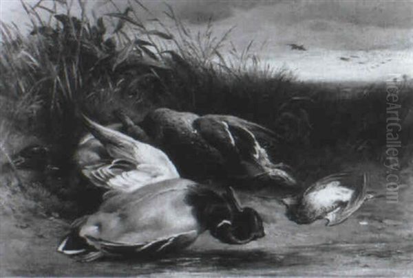 Drakes, A Mallard And A Snipe On A Riverbank Oil Painting by James Hardy Jr.