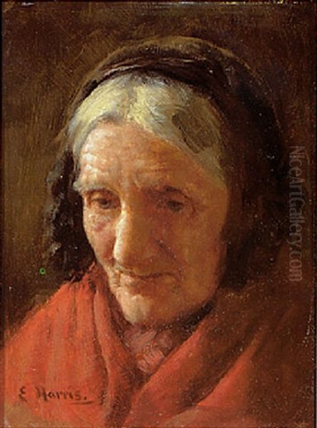 Portrait Of An Old Woman Oil Painting by Edwin Harris