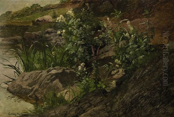 Bewachsenes Uferstuck Oil Painting by Ludwig Hartmann