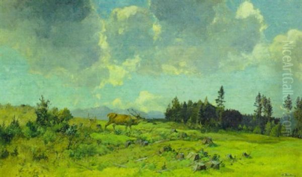 Rohrender Hirsch Auf Einer Wiese In Voralpenlandschaft Oil Painting by Max Hartwig