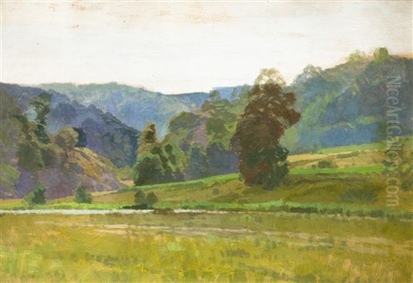 Landschaft Im Thayatal Oil Painting by Roman Havelka