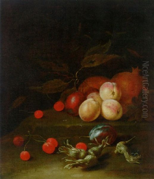 Peaches, Plums, Cherries And Cobnuts On A Ledge Oil Painting by Jan Davidsz De Heem