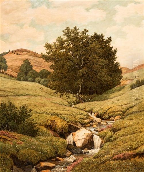 Riggenbachle Bei Bernau Oil Painting by Julius Heffner