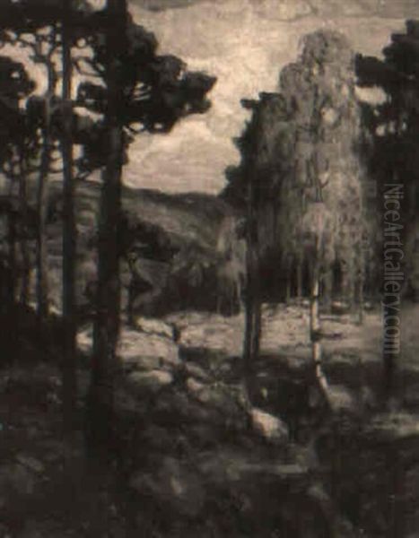 Extensive Forest Landscape Oil Painting by Knute Heldner