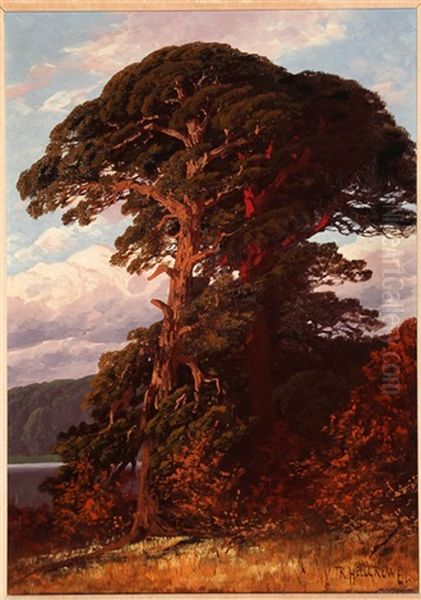 Pines By The Lake Ii Oil Painting by Rudolf Hellgrewe