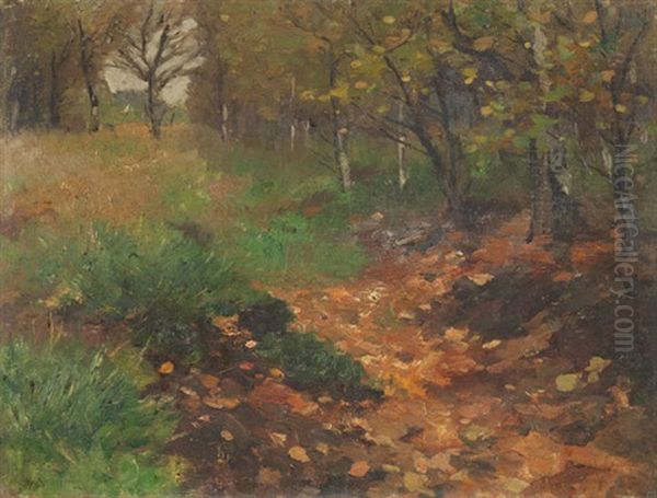 Waldlichtung Oil Painting by Thomas Herbst