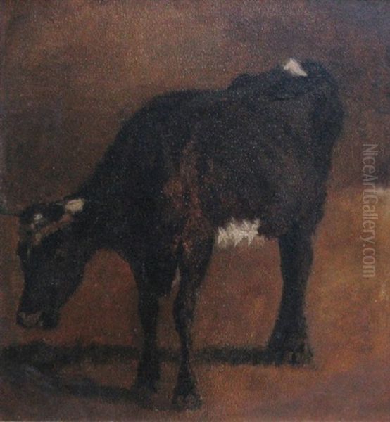 Brunbroget Ko (study) Oil Painting by Thomas Herbst