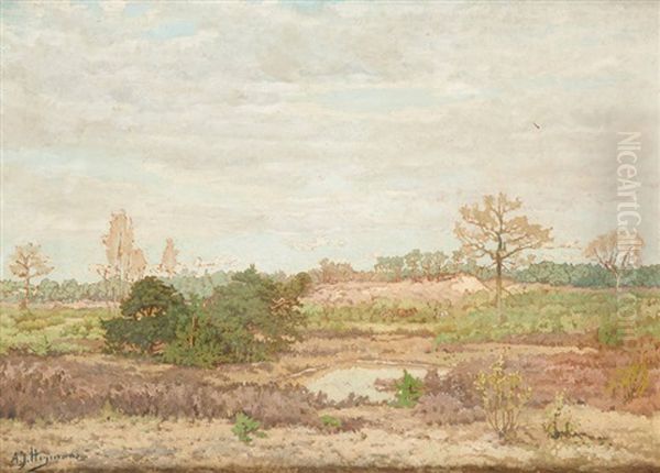 Une Mare Dans Les Bruyeres Oil Painting by Adriaan Josef Heymans