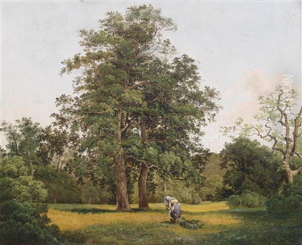 Holzsammlerin Auf Einer Waldlichtung Oil Painting by Josef Holzer