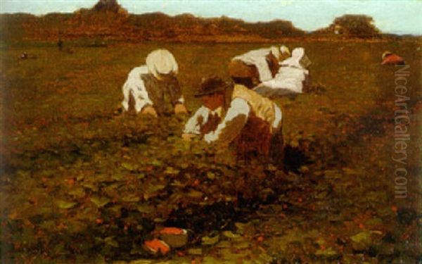 The Strawberry Bed Oil Painting by Winslow Homer
