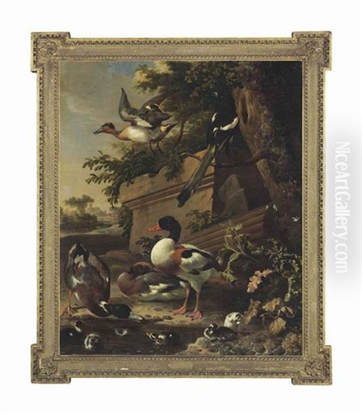 Sheldrake Ducks And Ducklings With A Magpie In A Garden, A Village Beyond Oil Painting by Melchior de Hondecoeter