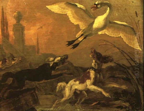 Swan Being Chased By Dogs Oil Painting by Abraham Danielsz Hondius