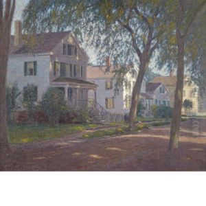The Shady Street