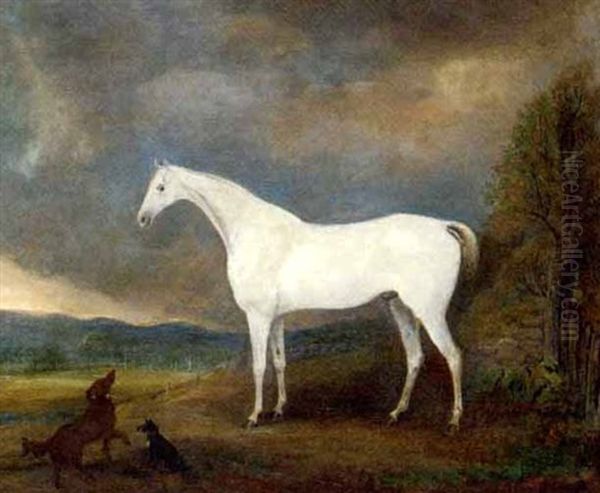 A Grey Hunter With Two Dogs In A Landscape Oil Painting by James (of Skirling) Howe