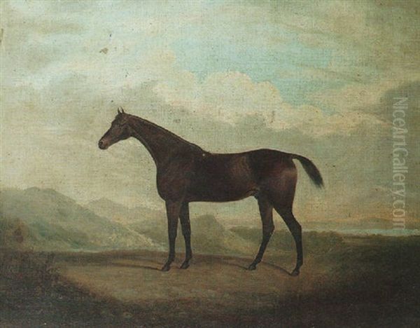 A Bay Hunter 