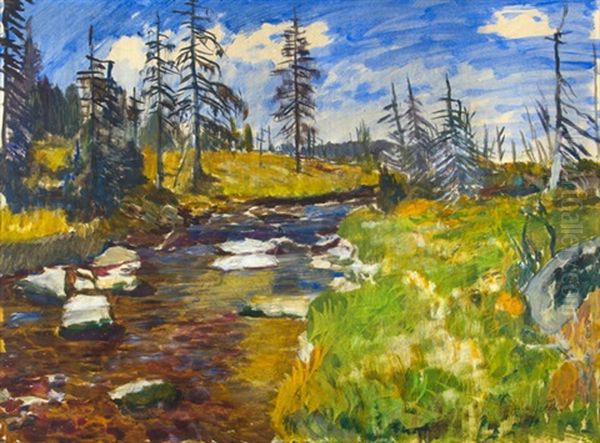 Sumavska Krajina Oil Painting by Antonin Hudecek