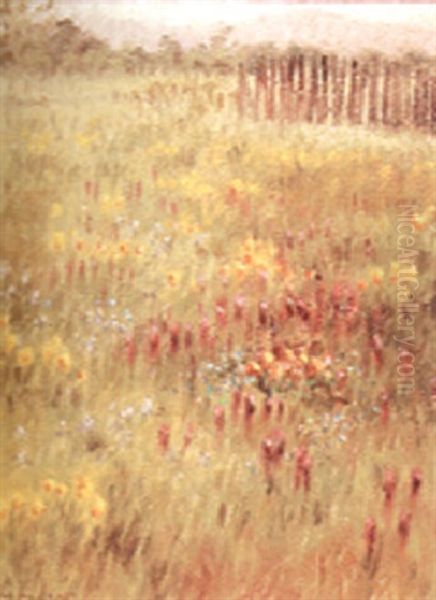 Indian Paint Brush Oil Painting by Grace Carpenter Hudson