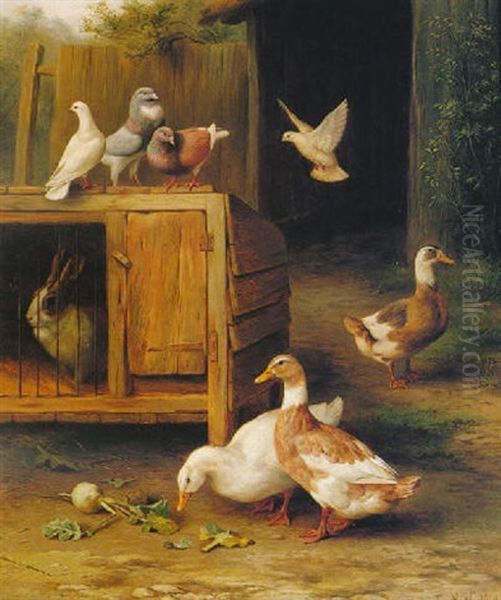 Pigeons, Ducks And A Rabbit Oil Painting by Edgar Hunt