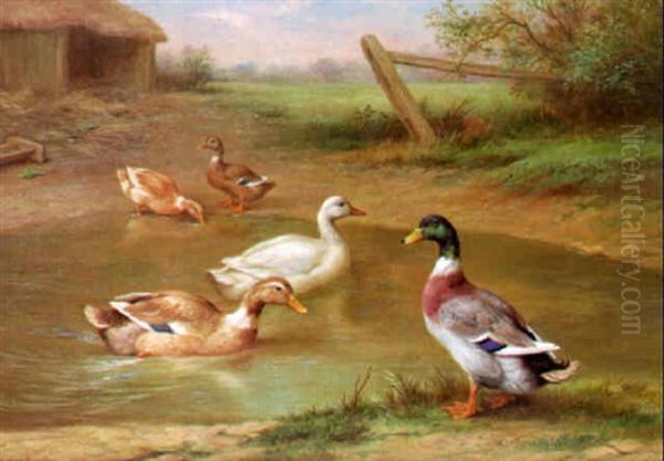 Ducks By A Pond Oil Painting by Edgar Hunt