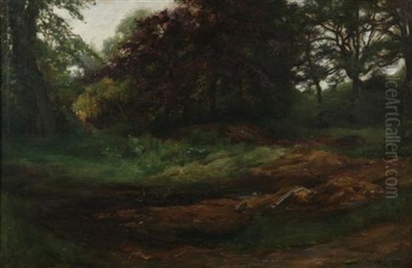 Woodland Landscape With Ducks And Pool Oil Painting by John Young Hunter