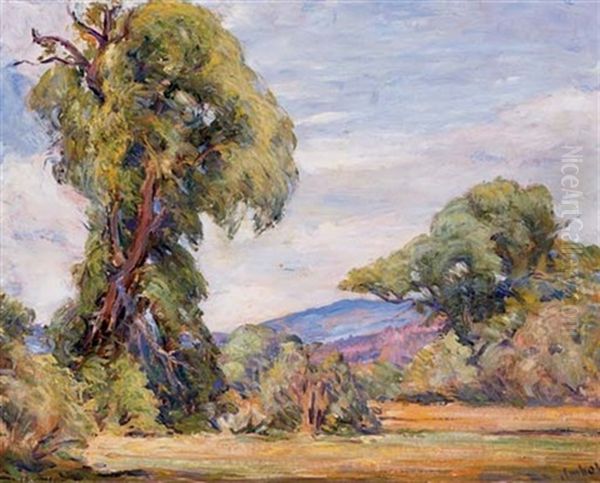 Pot Creek Canyon Oil Painting by Joseph Imhoff