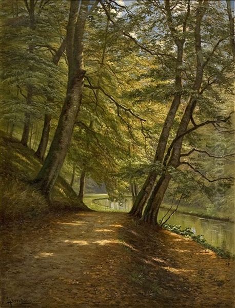 Solbelyst Bokskog Med A Och Vandringsstig Oil Painting by August Jacobsen