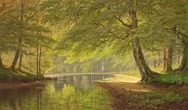 Stream In The Woods A Sunny Summer's Day In 1895 Oil Painting by August Jacobsen