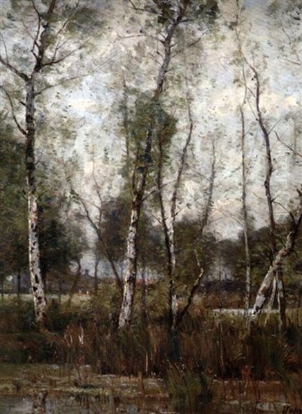 Les Bouleaux Oil Painting by Louis Aime Japy