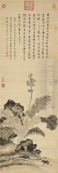 Chinese Cabbage Oil Painting by  Jiang Tingxi