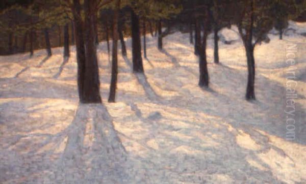 Tallar I Vintersol Oil Painting by Carl (August) Johansson