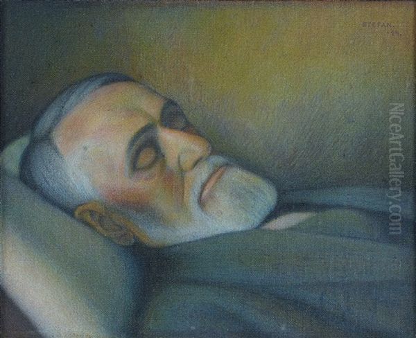 Vilande Man Oil Painting by Stefan Johansson